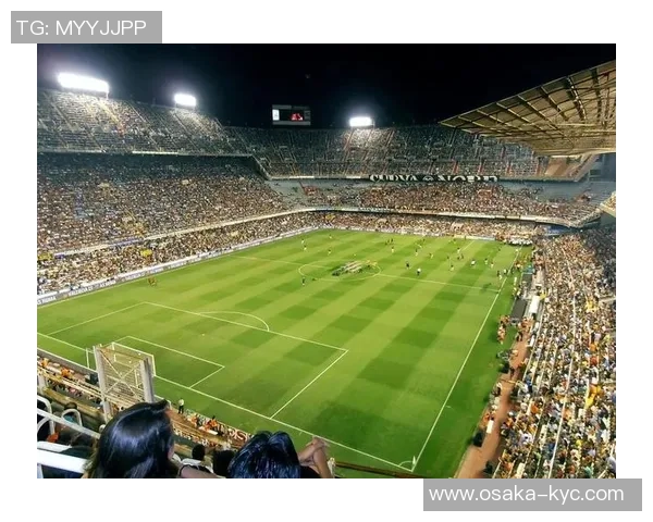 《球场之星：从绿茵到聚光灯下的传奇足球瞬间》