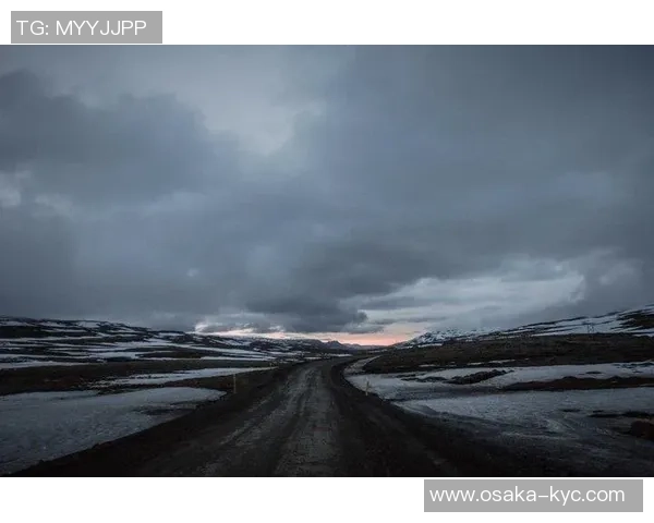 冰岛足球传奇球星的崛起与突破：从草根到国际舞台的精彩历程