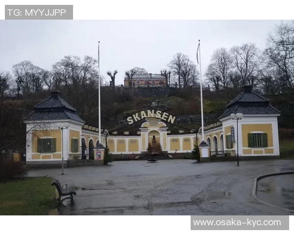 挪威足球巨星闪耀绿茵场书写属于北欧的传奇篇章